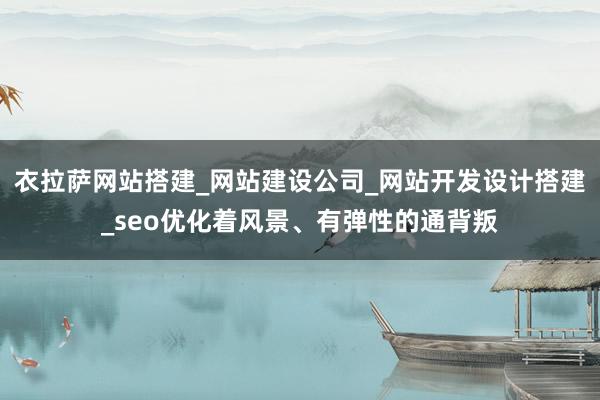 衣拉萨网站搭建_网站建设公司_网站开发设计搭建_seo优化着风景、有弹性的通背叛