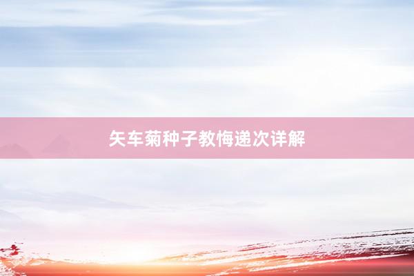 矢车菊种子教悔递次详解