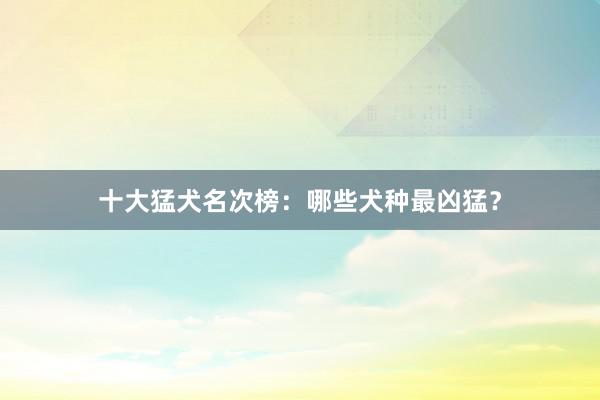 十大猛犬名次榜：哪些犬种最凶猛？